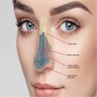 BEST NOSE JOB SURGEONS IN LUCKNOW