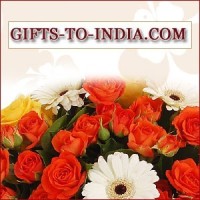 Same Day Delivery Gifts in Ghaziabad