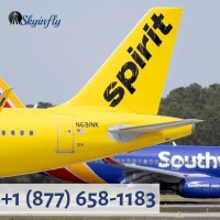  1 877 6581183 for Spirit Airlines Flight Booking
